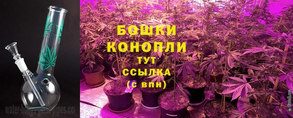 эйфоретик Горняк