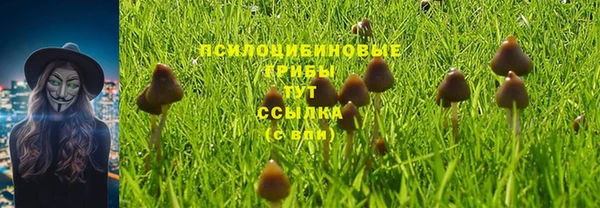 jwh Горнозаводск