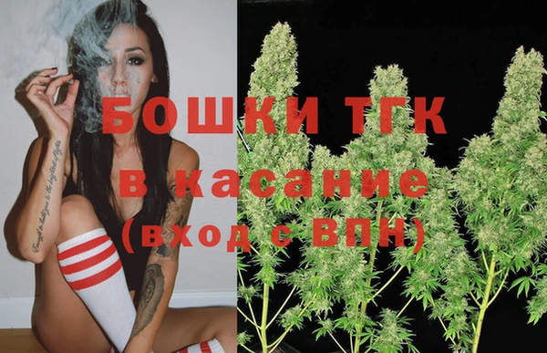 эйфоретик Горняк